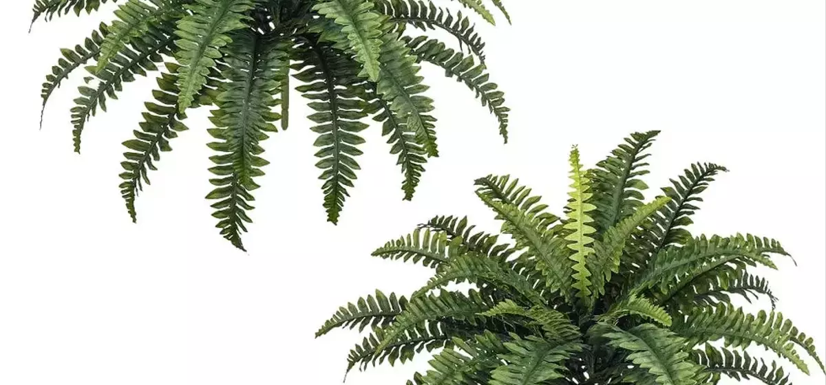Top Picks: The Most Realistic Artificial Plants on Amazon