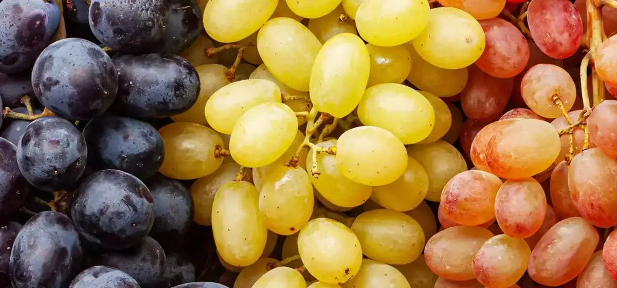 A Comprehensive Guide to Grapes: Varieties, Selection, and Culinary Uses
