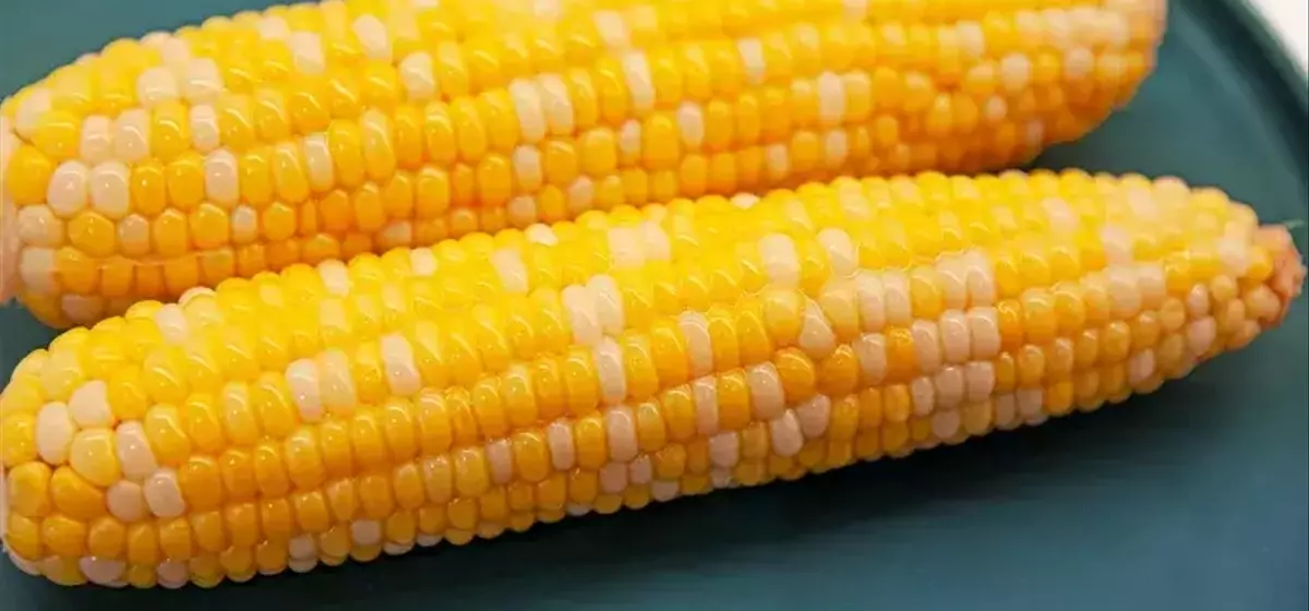 Optimal Corn Cooking: A Guide to Achieving Perfect Texture and Sweetness