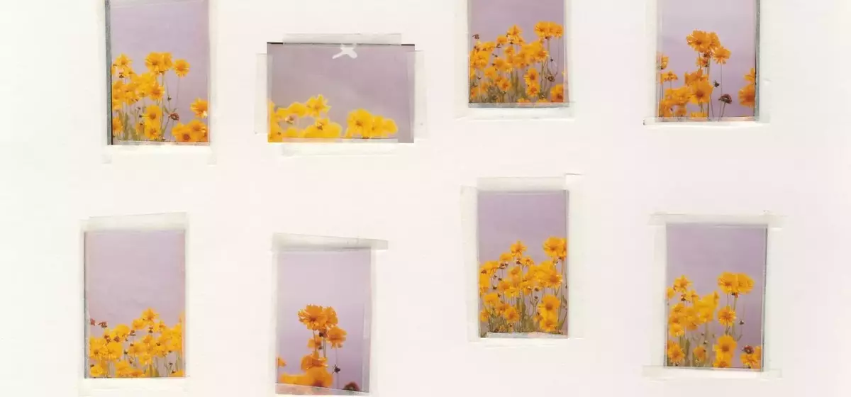 Nico Perez's 'Everything Is Nothing and Nothing Is Everything': A Photographic Journey of Connection and Truth