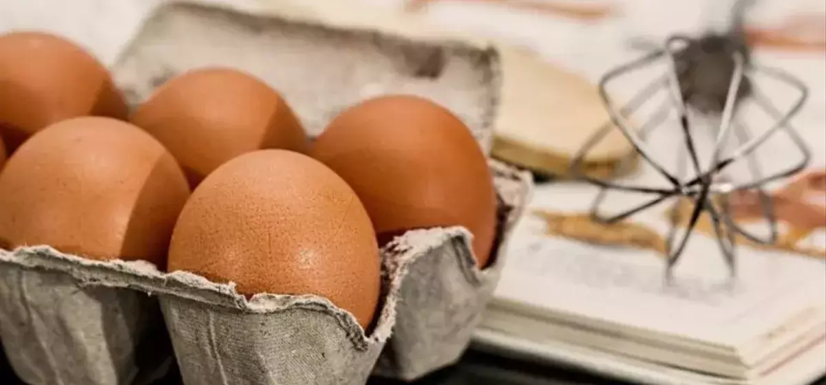 Cal-Maine Foods Reaches $1.5 Million Settlement in Egg Pricing Probe