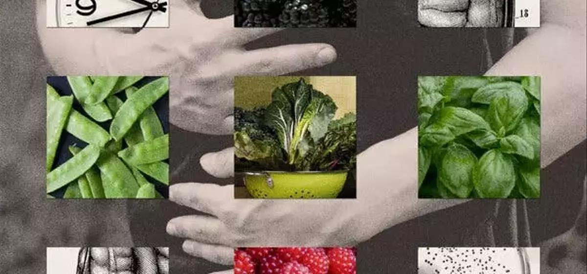 Cyclospora Outbreak: A Growing Public Health Concern