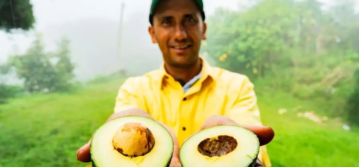 Mission Produce: A Post-Merger Assessment