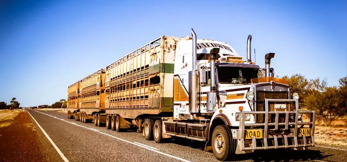 Transportation Sector Performance: A Tale of Two Trends Amid Rising Fuel Costs