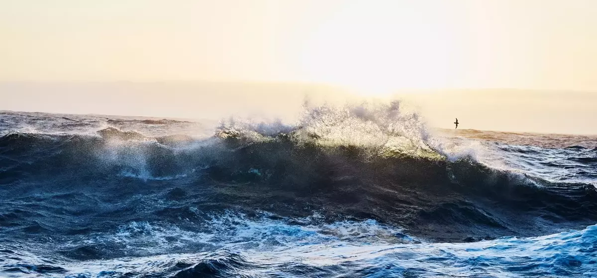 OceanFirst Financial Corp. Bolsters Presence with Strategic Acquisition, Reports Steady Q2 Performance