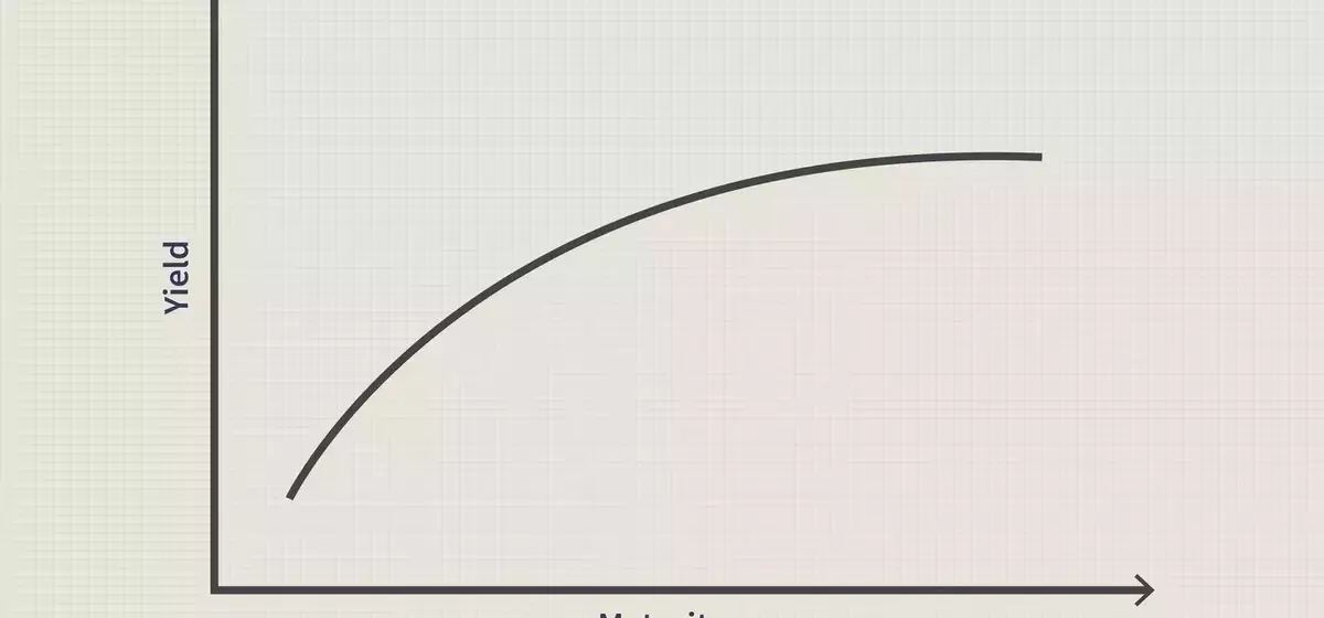 Understanding the Flat Yield Curve: Economic Signals and Investment Strategies