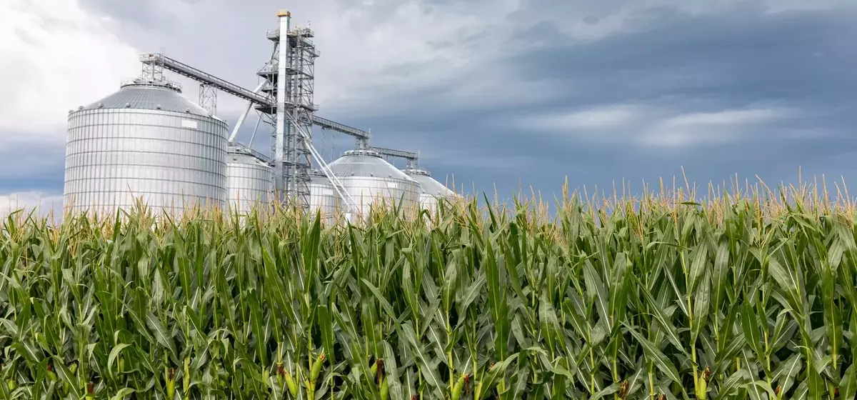 Alto Ingredients: A Promising Investment in Renewable Fuels