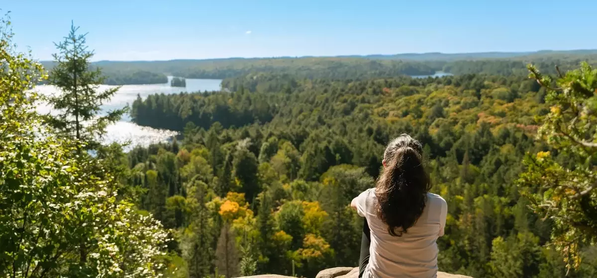 Algonquin Power: A Strategic Shift Towards Stability and Growth
