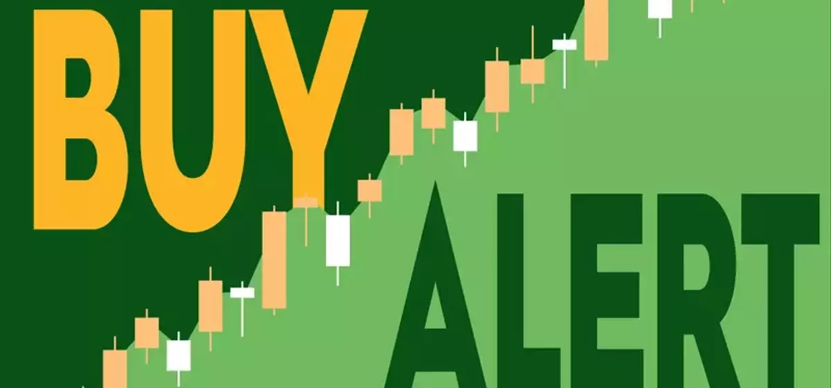 Tractor Supply CEO Increases Stake Amidst Stock Dip