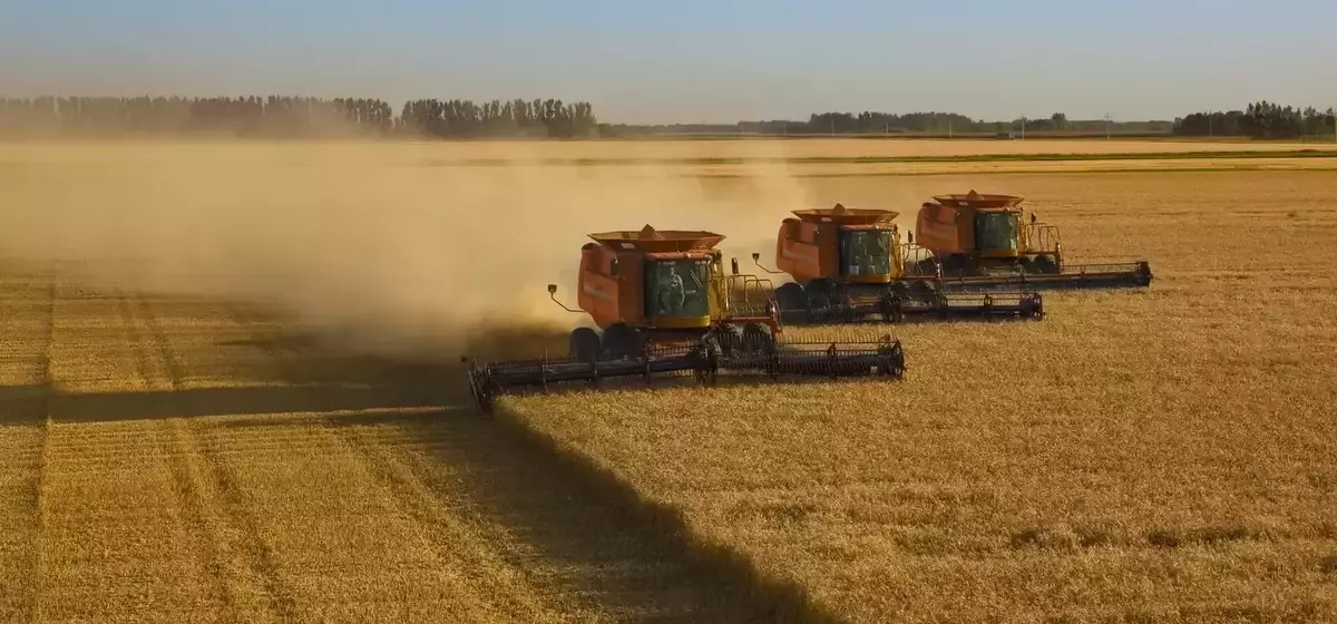 Diversifying Investments: Exploring Opportunities in the Agricultural Sector