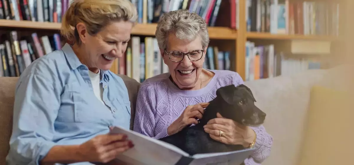 Annuities: A Comprehensive Overview of Retirement Income Strategies