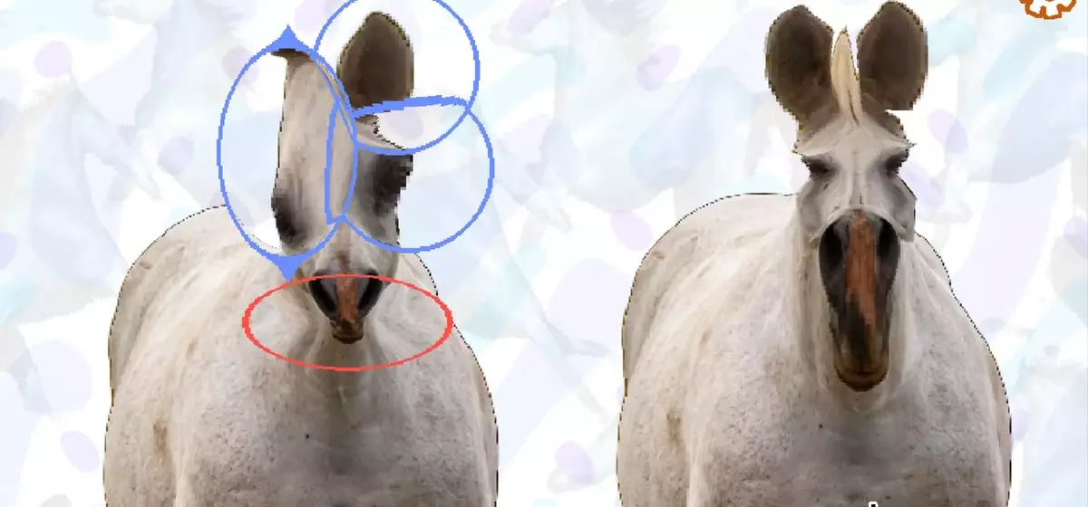 "Horse Magnifier: The Full Horse" Takes Steam by Storm with Unique Puzzle Gameplay