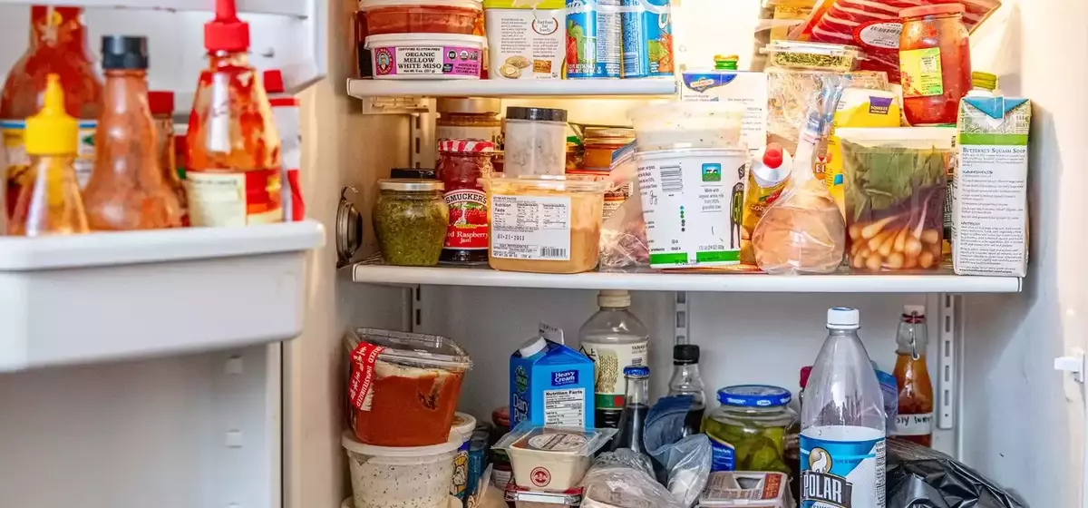 Conquering Unpleasant Refrigerator Smells