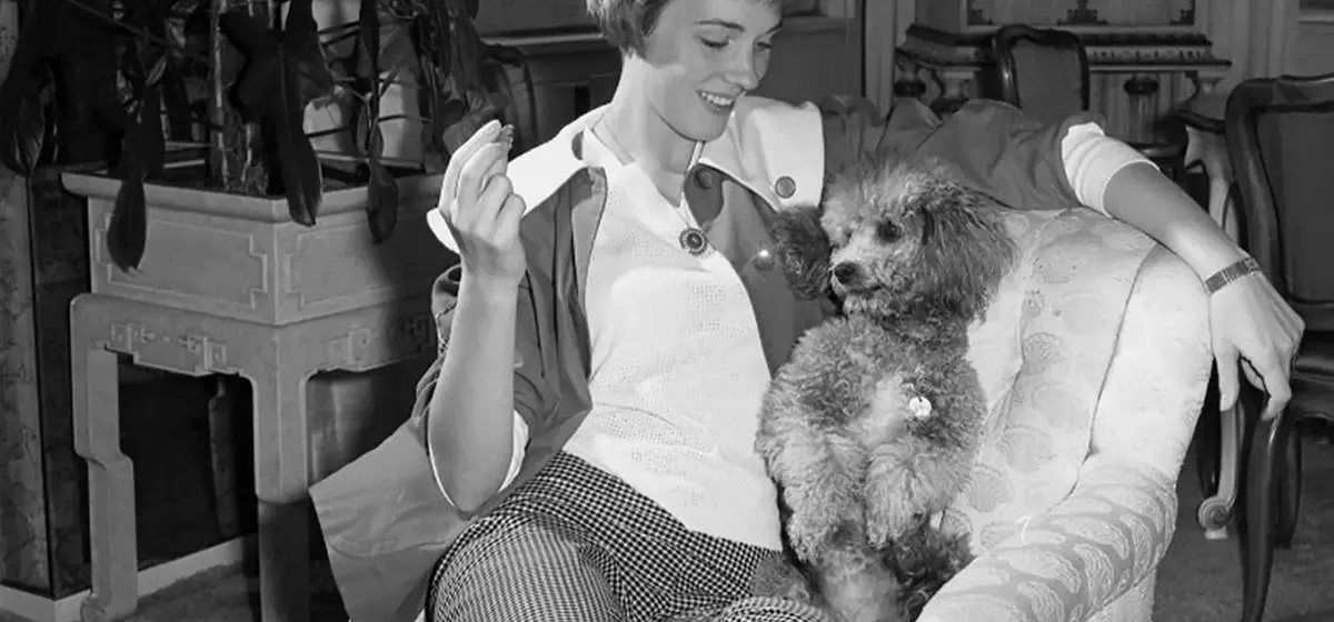 A Lifetime of Canine Companions: Julie Andrews and Emma Walton Hamilton's Enduring Love for Dogs