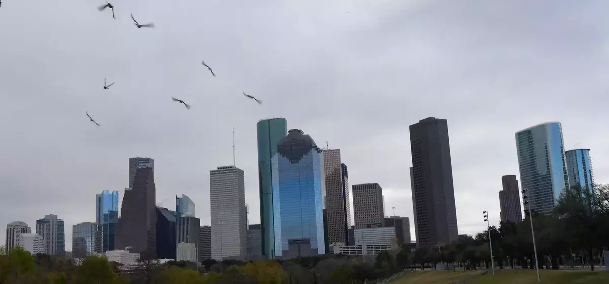 Houston: An Ideal Retirement Destination