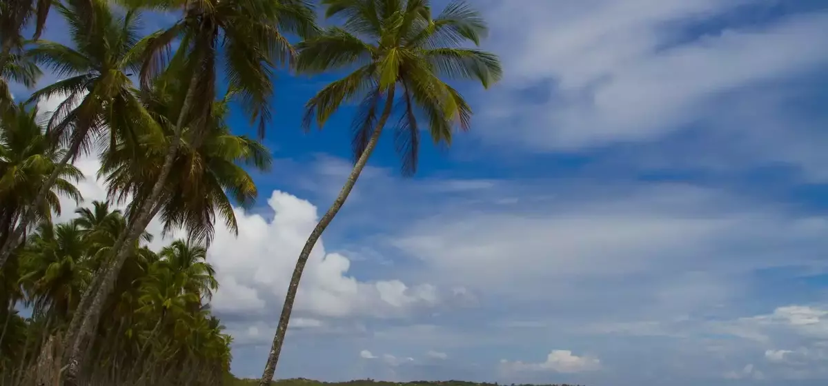 Brazil: A Retirement Paradise Beyond the Tourist Trail