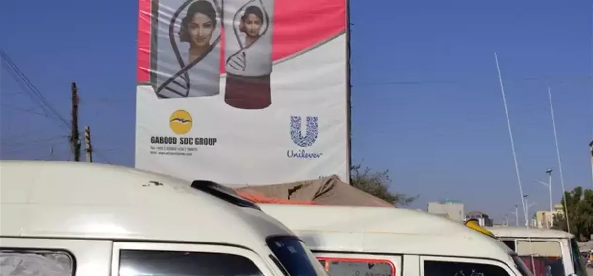 Unilever: A Strategic Investment in Emerging Market Growth and Shareholder Returns