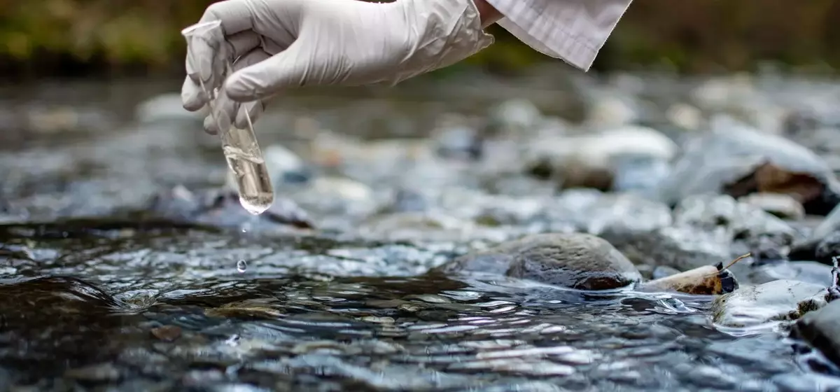 Hawkins: A Deep Dive into a Niche Chemical Distributor's Market Position and Future Prospects