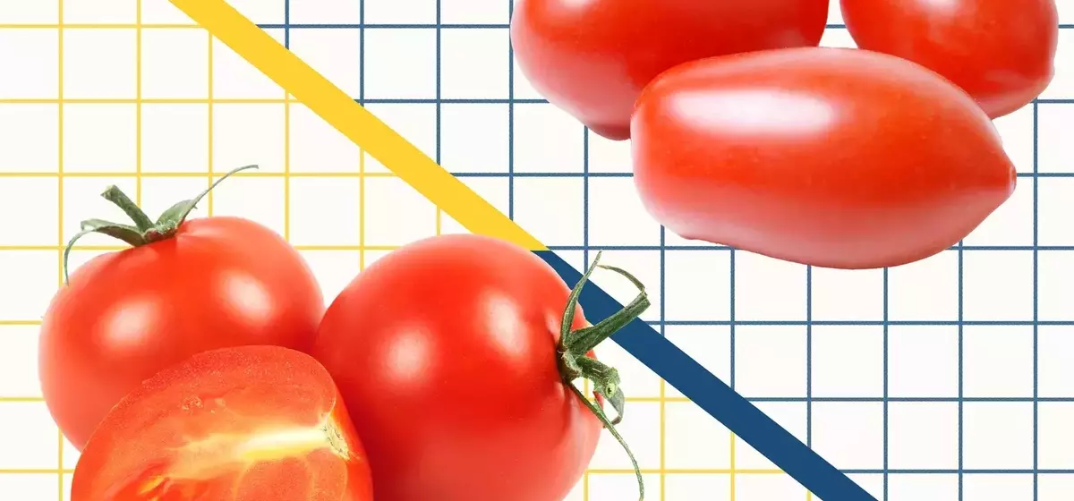 Understanding the Differences Between Cherry and Grape Tomatoes