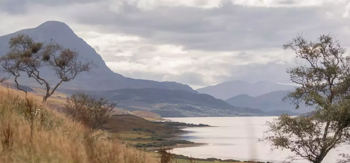 Hope Lodge: A Rewilding Retreat in the Scottish Highlands