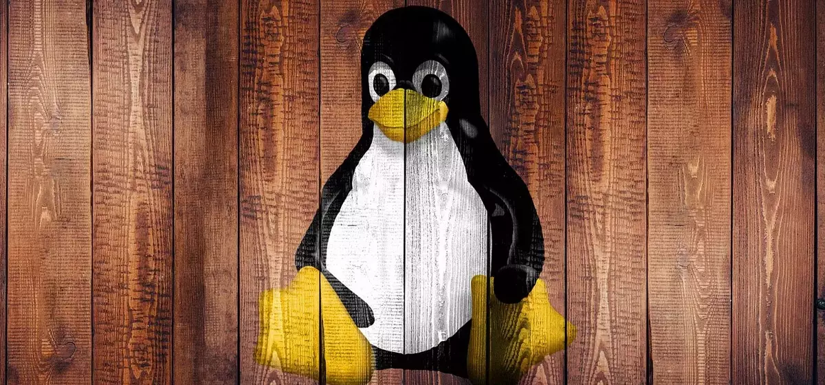 Linux Evades Age Verification Mandate in California, SteamOS Status Uncertain