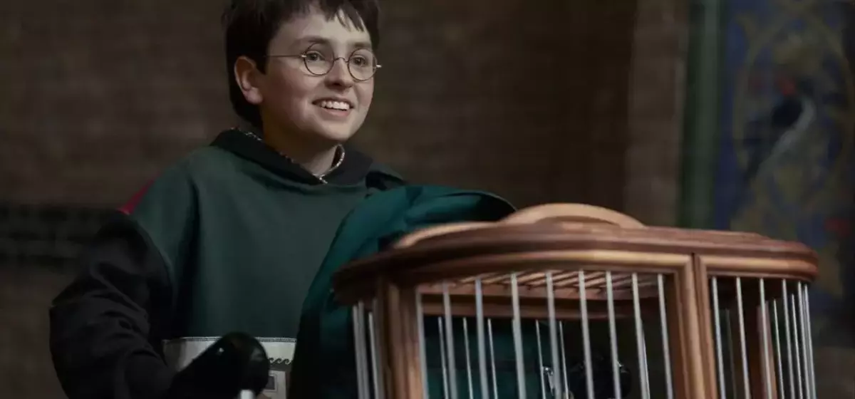 HBO Max Transforms Harry Potter Rewatch Podcast into Companion for New TV Series