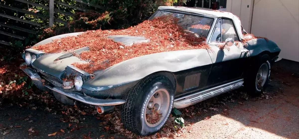 The Enduring Spirit of Forgotten Classic Cars