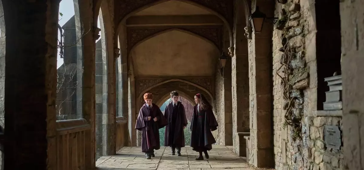 HBO's "Harry Potter" Series Reveals New Cast for Season 2, Including Dobby and Tom Riddle