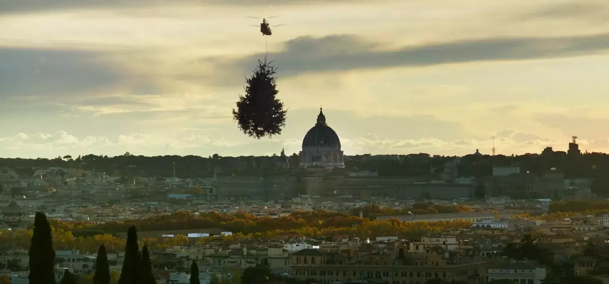A Soothing Yet Subdued Documentary on the Enigmatic World of Trees