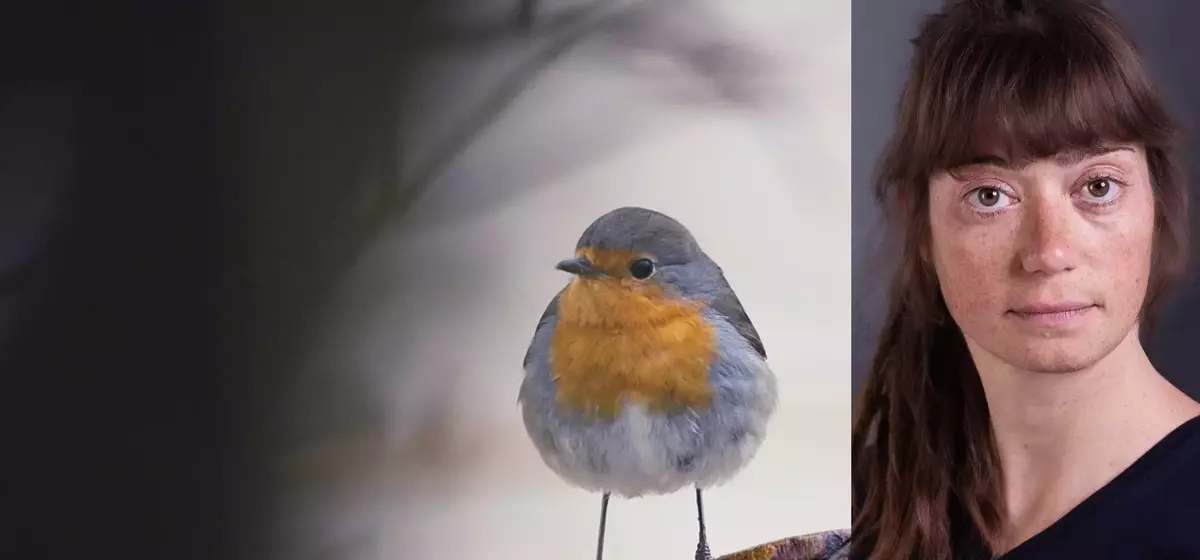 A Documentary on Nature's Resilience in the Face of Industry