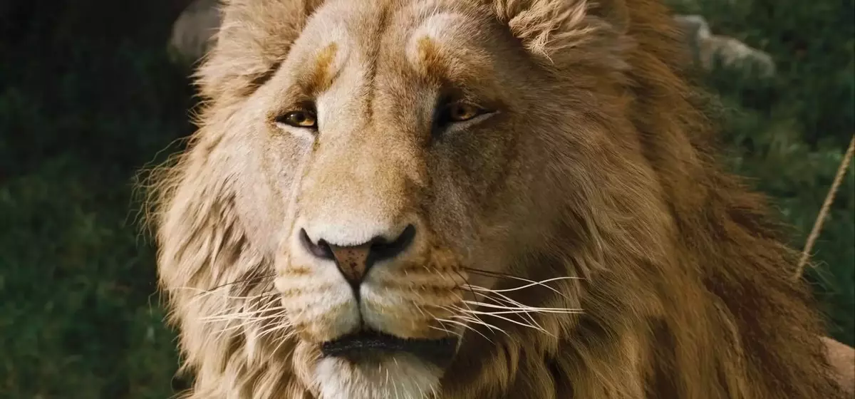 Greta Gerwig's Narnia Film Reveals First Look, Meryl Streep Cast as Aslan
