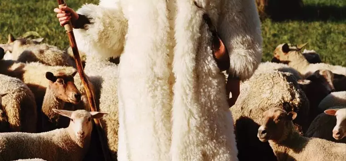 Unraveling the Ethical Threads of Wool in Fashion: A Documentary Insight