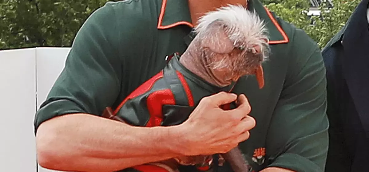 Ryan Reynolds's Exquisite Watch Collection