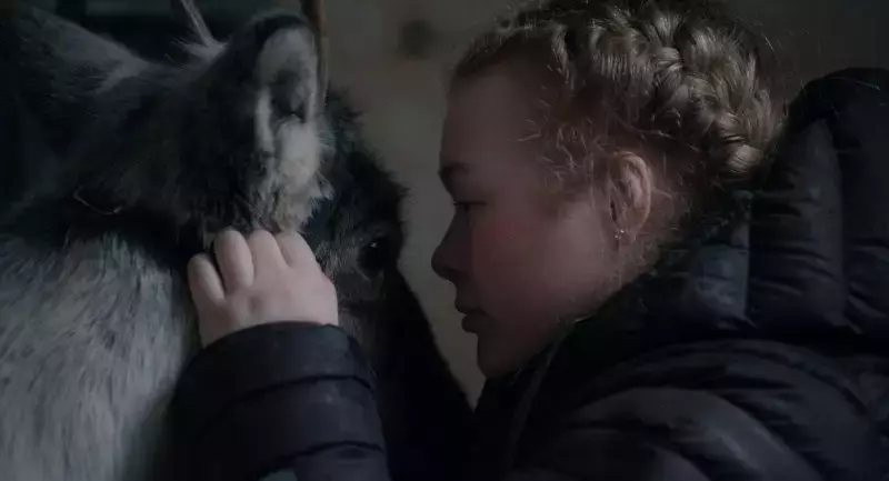 Review of 'Brace Your Heart': A Fusion of Heritage and Modernity in an Homage to Sámi Femininity