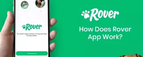 Pet care service options