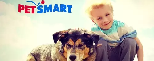 The PetSmart Promise: Diverse Services and Passionate Care for Your Pets