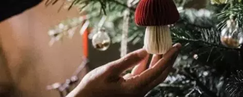 Crocus Christmas Collection: Trendy Gifts to Light Up the Season