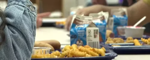 Utah School Districts and Food Banks Unite to Ensure Summer Meals for Students