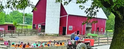 Healing Hearts: A Unique Camp for Grieving Children