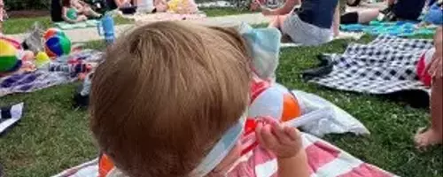 Summer Delights: A Comprehensive Guide to Connecticut's Free Activities