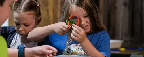 Exploring Nature Through Summer Camp Adventures at Macoskey Center