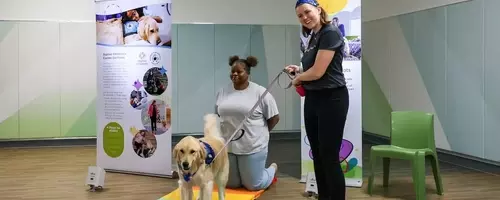 Therapy Dogs Revolutionizing Mental Health Care for Children