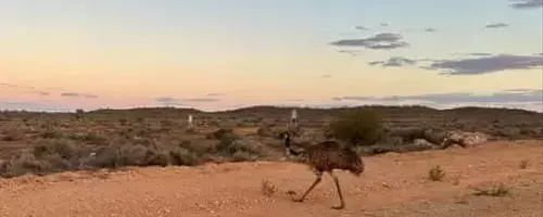 A Family Adventure Through the Australian Outback