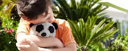 The Lost Stuffy Project: Restoring Comfort Amidst Disaster