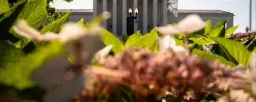 Supreme Court Halts Portion of Florida's Immigration Statute