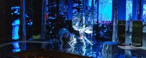 Intimate Grandeur: Des Moines Metro Opera's Unique Stage Experience