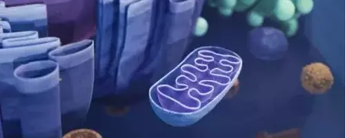 Breakthrough Genetic Technique Prevents Inherited Mitochondrial Diseases