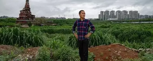 The Unwavering Builder: A Towering Feat of Persistence in Rural China