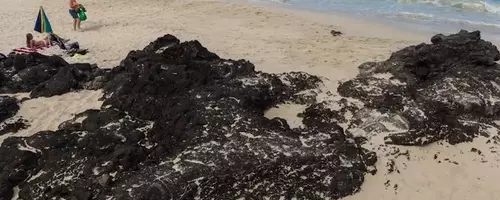 Unveiling America's Pristine Coastal Waters: A Surprising Revelation
