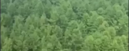 Russian Aircraft Goes Down in Far East